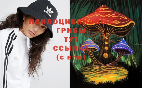 шишки Алапаевск
