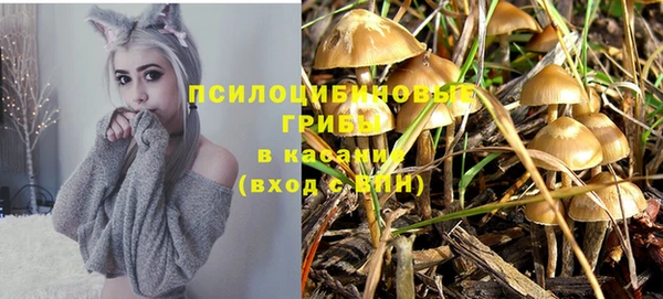 шишки Алапаевск