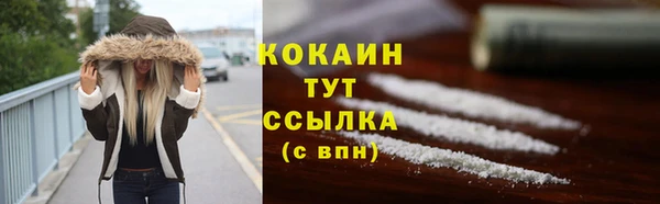 шишки Алапаевск