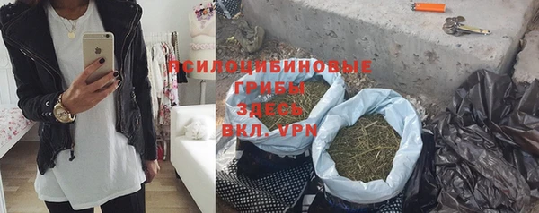 шишки Алапаевск