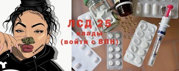 шишки Алапаевск
