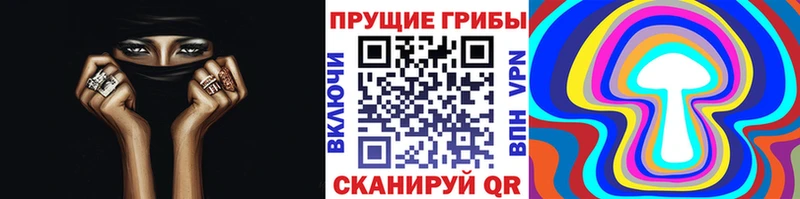 Псилоцибиновые грибы MAGIC MUSHROOMS  купить наркотик  Катав-Ивановск 